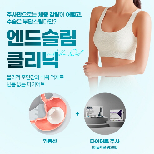엔드슬림 프로그램